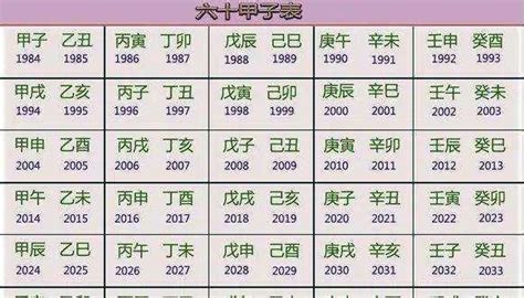 子丑年是哪一年|干支纪年